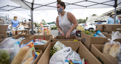 Hawaii coronavirus cases rise by 9 to total 664; tally includes 4 older infections, officials say -Advertiser