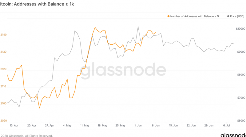 Las ballenas de Bitcoin no están exentas de riesgos.