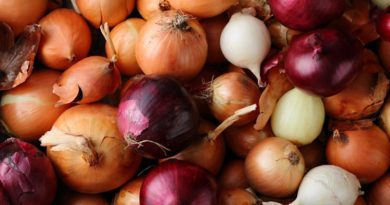 Red onions culprit in salmonella cases that have sickened nearly 400 in US, another 114 in Canada