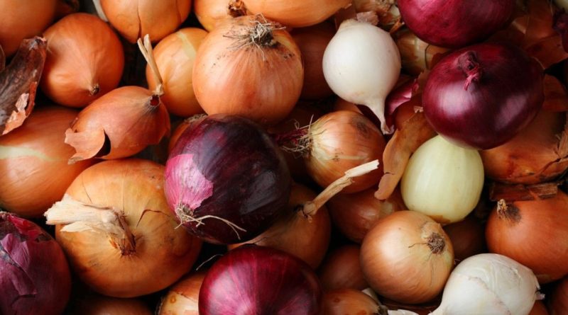 Red onions culprit in salmonella cases that have sickened nearly 400 in US, another 114 in Canada