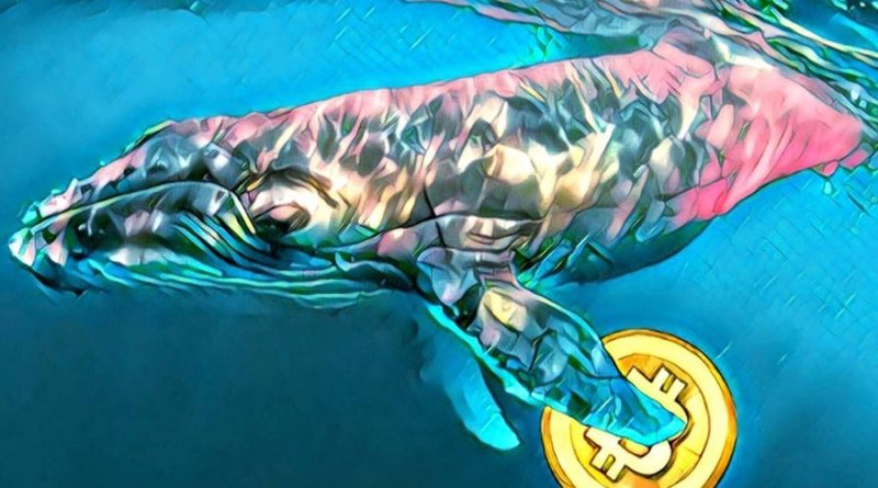 Two Bitcoin whales move $100 million worth of cryptos to OKEX