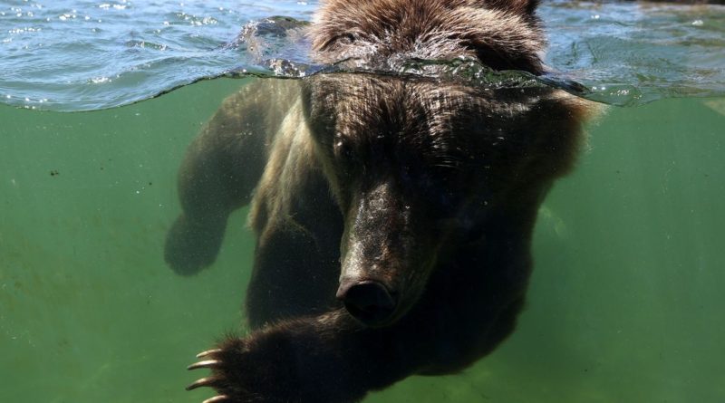 The second wave of a rolling bear market is about to begin, says top forecaster