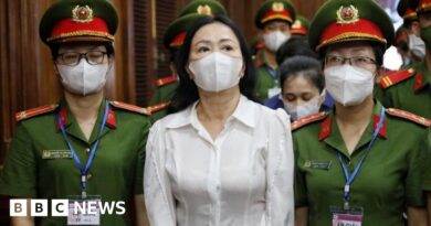 Truong My Lan: Vietnamese billionaire accused in multi-billion dollar bank fraud